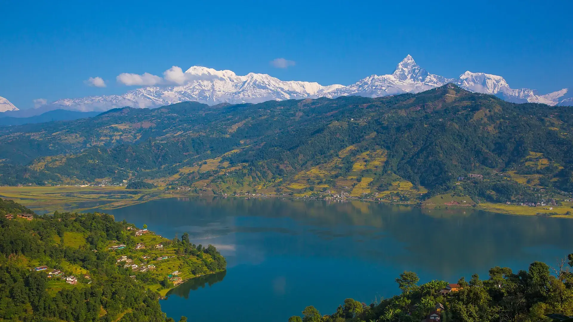 Boats on the still water of Phewa Lake, Pokhara